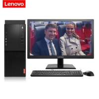 联想（Lenovo） 启天M415 商用台式机电脑 21.5英寸套机DVD光驱