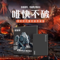 英诺达ST600 战狼 960G SSD固态硬盘 云南电脑批发