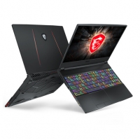 微星(msi)GE65 15.6英寸游戏本240Hz电竞屏(i7-9750H 16G 512GB SSD RTX2060 6G 赛睿单键RGB 黑)（GE65 Raider 9SE-206CN）