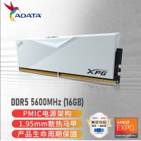 威刚（ADATA）XPG 威龙 LANCER 16G 5600 DDR5内存条 台式机内存电脑内存 釉白