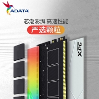 威刚XPG 龙耀DW50 16G-4133(8GX2)RGB灯条 DDR4 釉白