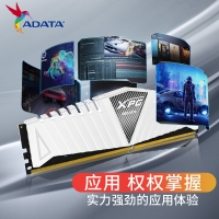 威刚（XPG）白龙条 8G 3200 DDR4 单条