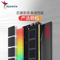 威刚龙耀DT50 64G-3200(32GX2)RGB灯条（钛灰）套条马甲