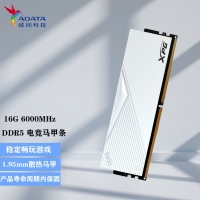 威刚（ADATA）XPG 游戏电竞台式机电脑超频内存条 DDR5 16G 6000 釉白 高效提速 畅玩游戏