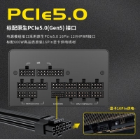 爱国者 电竞系列 ES1250 金牌全模组黑色 额定1250W （ATX3.0/原生PCIE5.0支持4090）