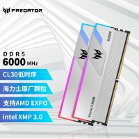 宏碁掠夺者（PREDATOR）32G(16G×2)套装 DDR5 6000频率 台式机内存条 Vesta II 炫光星舰RGB灯条(C30) 星光银