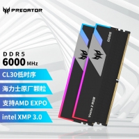 宏碁掠夺者（PREDATOR）32G(16G×2)套装 DDR5 6000频率 台式机内存条 Vesta II 炫光星舰RGB灯条(C30) 石耀黑