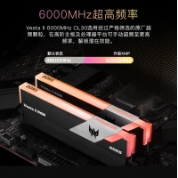 宏碁掠夺者（PREDATOR）32G(16G×2)套装 DDR5 6000频率 台式机内存条 Vesta II 炫光星舰RGB灯条(C30) 石耀黑