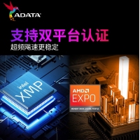 威刚(ADATA) XPG 威龙BLADE 6400 16G DDR5（釉白）大马甲 海力士A代颗粒 台式机内存