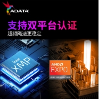 威刚(ADATA) XPG 威龙BLADE 6400 16G DDR5（黑）马甲条 海力士A代颗粒 台式机内存