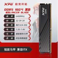 威刚(ADATA) XPG 威龙BLADE 6400 16G DDR5（黑）马甲条 海力士A代颗粒 台式机内存