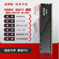 威刚(ADATA) XPG 威龙BLADE 6000 16G DDR5（黑）大马甲 海力士A代颗粒 台式机内存