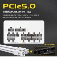 爱国者 电竞系列 ES1250 金牌全模组白色 额定1250W （ATX3.0/原生PCIE5.0支持4090）