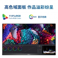 飞利浦（PHILIPS）27E1N5500E 27英寸2K 75Hz IPS技术 1ms 114%sRGB升降旋转 专业显示器