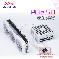 威刚（ADATA）XPG魔核II SE850W 白色电源 金牌全模组台式电脑电源atx3.0电源支持4090