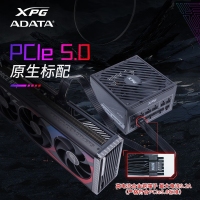 威刚（ADATA）XPG魔核II SE750W黑色电源 金牌全模组台式电脑电源atx3.0电源支持4090