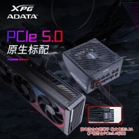 威刚（ADATA）XPG魔核II SE850W 黑色电源 金牌全模组台式电脑电源atx3.0电源支持4090