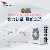 威刚（ADATA）XPG魔核II 750W 白【ATX3.0】电源金牌全模组全日系电容台式电脑主机游戏电竞白金效能智能温控