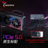 威刚（ADATA）XPG魔核II 850W 黑【ATX3.0】电源金牌全模组全日系电容台式电脑主机游戏电竞白金效能智能温控