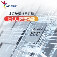 威刚(ADATA)XPG龙耀D500G 32GB(16GBX2)套装 DDR5 8000 (白色) 台式机内存条