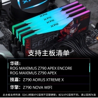 威刚(ADATA)XPG龙耀D500G RO姬联名 32GB(16GBX2)套装 DDR5 8000 台式机内存条