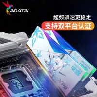 威刚(ADATA) XPG龙耀D500G 吹雪联名 32GB(16GBX2)套装 DDR5 8000 台式机内存条 海力士