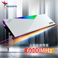 威刚(ADATA)XPG龙耀D500G 32GB(16GBX2)白色彩包套装 DDR5 6000 C30海力士A die内存条