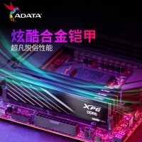 威刚威龙 BB300 16G 6000G DDR5 黑色 (小马甲)