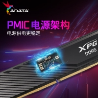 威刚威龙 BB300 16G 6000G DDR5 黑色 (小马甲)