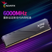 威刚威龙 BB300 16G 6000G DDR5 黑色 (小马甲)