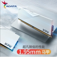 威刚（ADATA）威龙 D500白 6000 32G LANCER 内存条DDR5 XMP3.0高频电脑台式机内存条