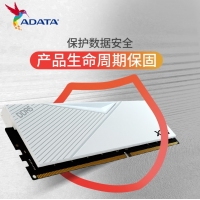 威刚（ADATA）威龙 D500白 6000 32G LANCER 内存条DDR5 XMP3.0高频电脑台式机内存条