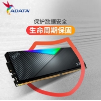 威刚(ADATA)XPG龙耀D500G 64GB(32GBX2) DDR5 6000 黑色彩包套装 C30海力士A die内存