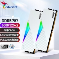 威刚(ADATA)XPG龙耀D500G 64GB(32GBX2)白色彩包套装 DDR5 6000 C30海力士A die内存条