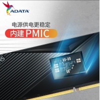 威刚（ADATA）威龙 D500黑 6400 16G DDR5 XMP3.0高频电脑台式机内存条