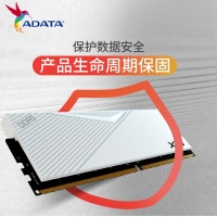 威刚（ADATA）威龙 D500白 6400 16G DDR5 XMP3.0高频电脑台式机内存条