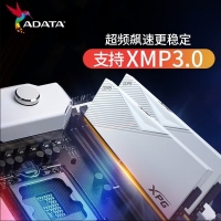 威刚（ADATA）威龙 D500白 6400 16G DDR5 XMP3.0高频电脑台式机内存条