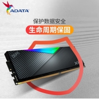 威刚(ADATA)XPG龙耀D500G 32GB(16GBX2)黑色彩包套装 DDR5 6400 C32海力士A die内存条