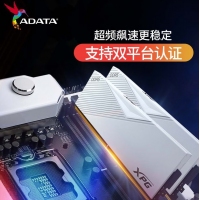 威刚(ADATA)XPG龙耀D500G 32GB(16GBX2)白色彩包套装 DDR5 6400 C32海力士A die内存条