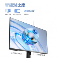 飞利浦 24E1N1120 23.8英寸 100Hz IPS 1ms 黑白易读模式 滤蓝光不闪屏 家用办公爱眼电脑显示器