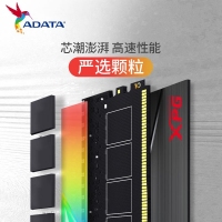 威刚龙耀DT50 16G-3200(8GX2)RGB灯条（钛灰）马甲套条