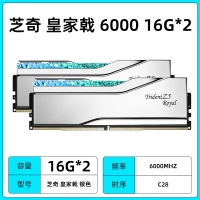 芝奇（G.SKILL）皇家戟 32GB(16Gx2)套装 DDR5 6000频率 EXPO版RGB灯条-银色/C28