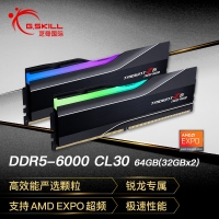 芝奇（G.SKILL）焰锋戟 64GB(32Gx2) DDR5 6000 RGB灯条/AMD EXPO/C30